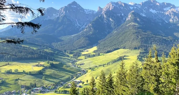 valley or flowert